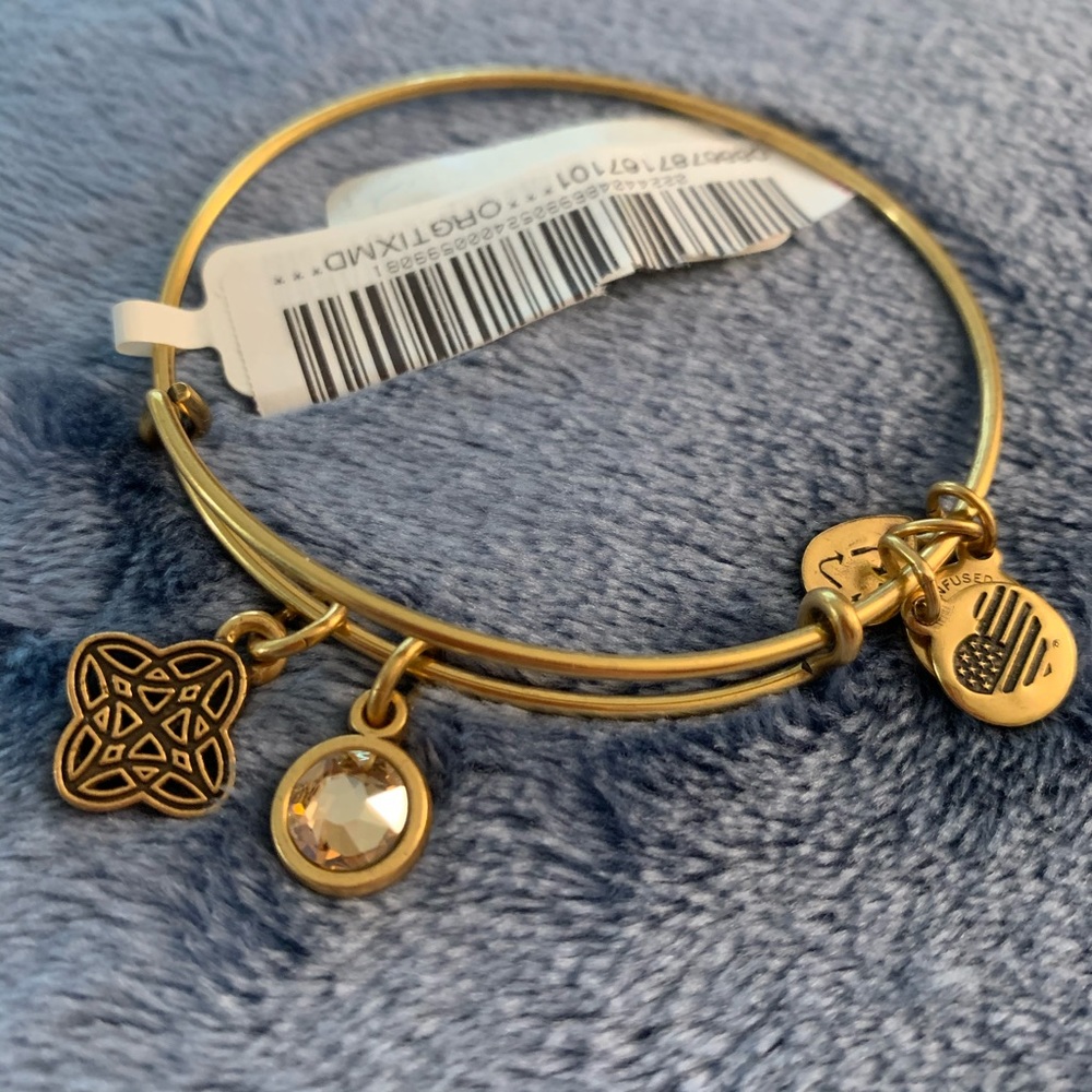 Alex and Ani Wisdom Rafaelian Gold Bracelet